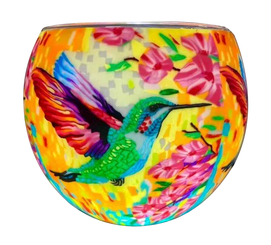Colourful Hummingbird Light Globe + LED Base Bundle