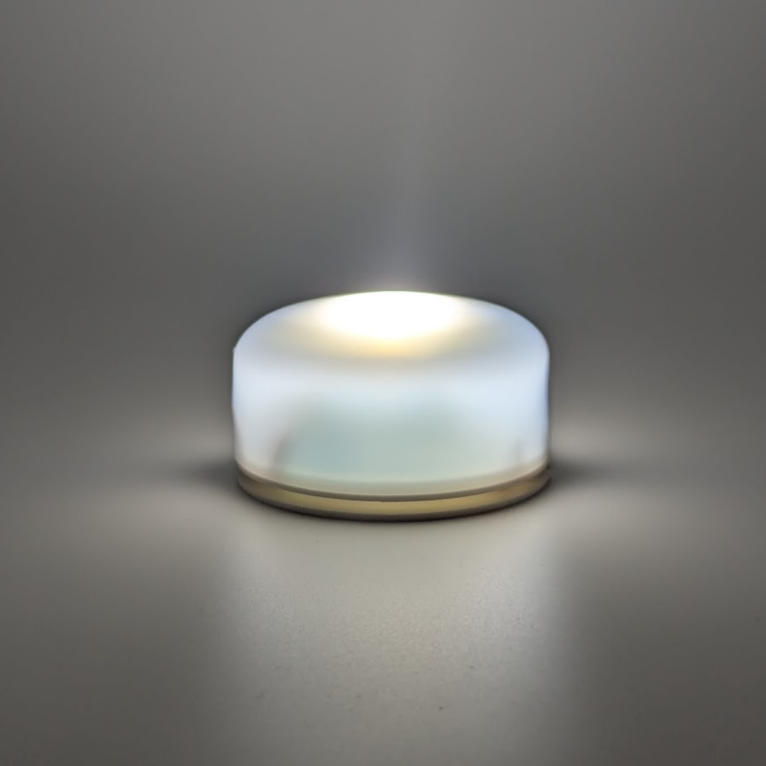 Maple Leaves Light Globe + LED Base Bundle